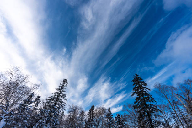 Snowscape seen in Xuexiang National Forest Park, Heilongjiang province, China.