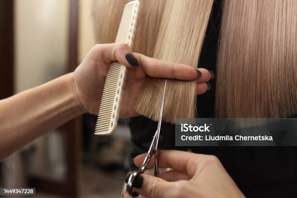 Professional Hairdresser Cutting Womans Hair In Salon Closeup Stock Photo - Download Image Now