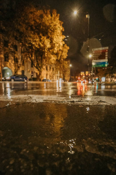 istock Rainy night in city 1449347334