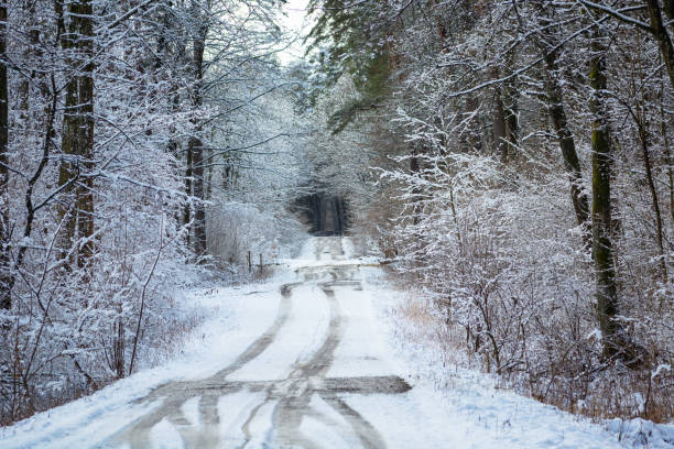 istock Car tracks on the road in the winter forest 1449349300
