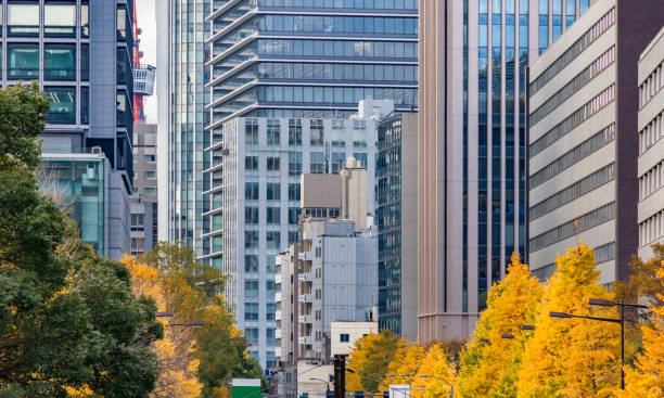 istock Buildings in Tokyo and brightly colored ginkgo trees 1449353314