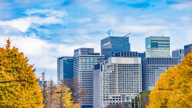 istock Buildings in Tokyo and brightly colored ginkgo trees 1449353749