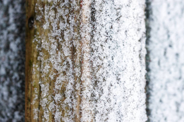 Icy snow on wooden surface background stock photo