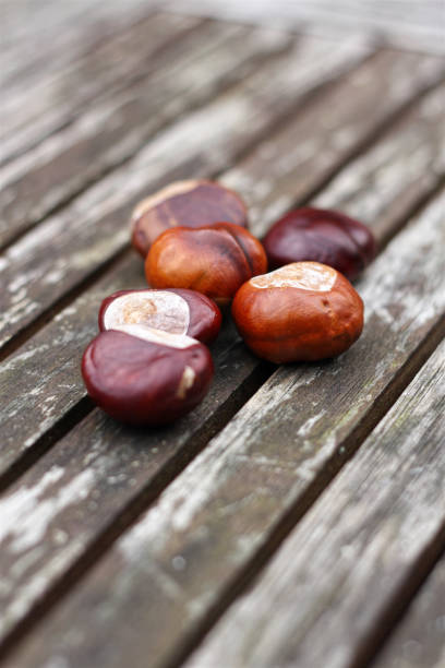 Chestnuts on a wooden table stock photo