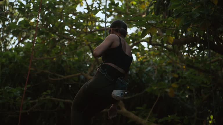 A climber is descending down in the forest