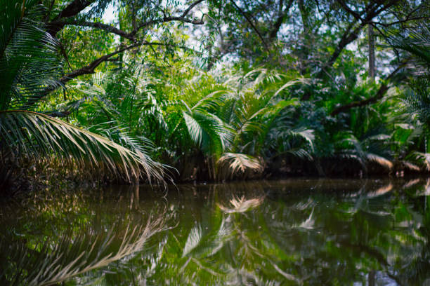 istock Khao Sok Nation Park 1449360566