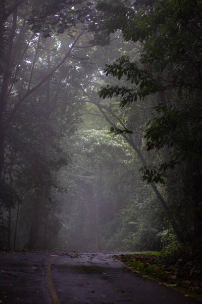 istock Khao Yai Nation Park 1449365091