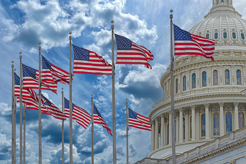 Washington DC Capitol Building: Congress and American Politics