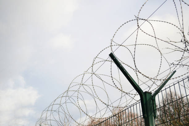 istock Security with barbed wire fencing in outdoor 1449371475