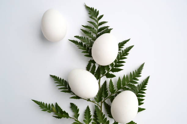 istock Easter card with eggs and fern on a white background 1449373187