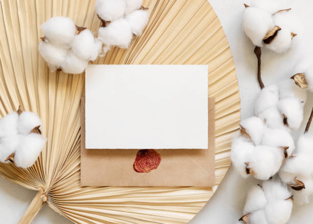 istock Blank card and envelope on dried palm leaf with cotton flowers top view, wedding mockup 1449373731