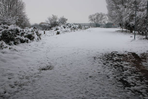 istock Heavy snow in the park 1449375466