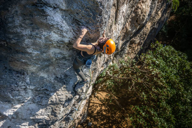 istock A climber climbing an epic wall hiden inside the forest 1449380323