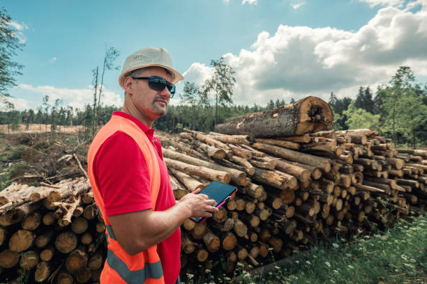 istock Forester in workwear and helmet planning with tablet in hands 1449380386