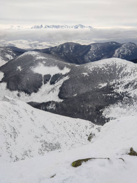 panoramiczny widok na ośnieżone zimowe tatry - chopok zdjęcia i obrazy z banku zdjęć