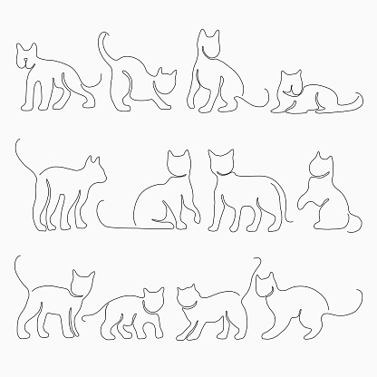 Doodle continuous freehand sketch drawing of cat pose collection. Cute pet animal concept.