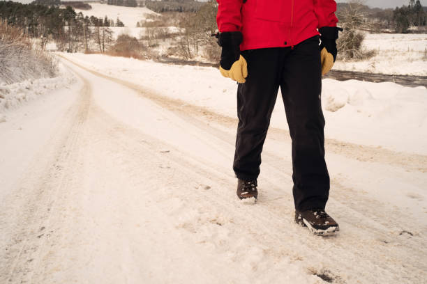 istock Winter walk in rural Scotland 1449385481
