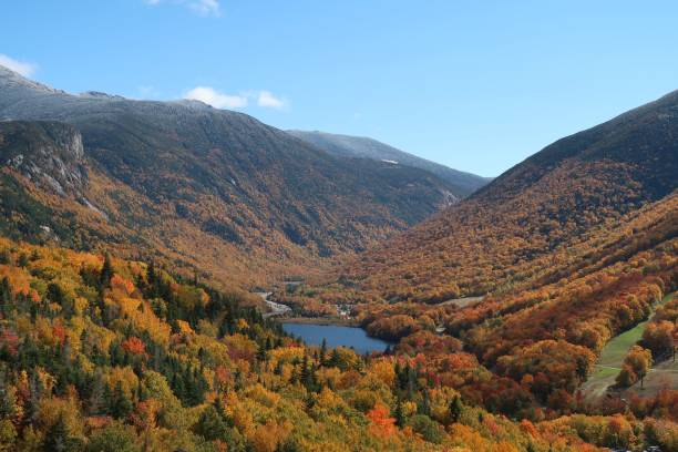 istock Valley covered with trees with vivid and colorful foliage between two mountains 1449386708