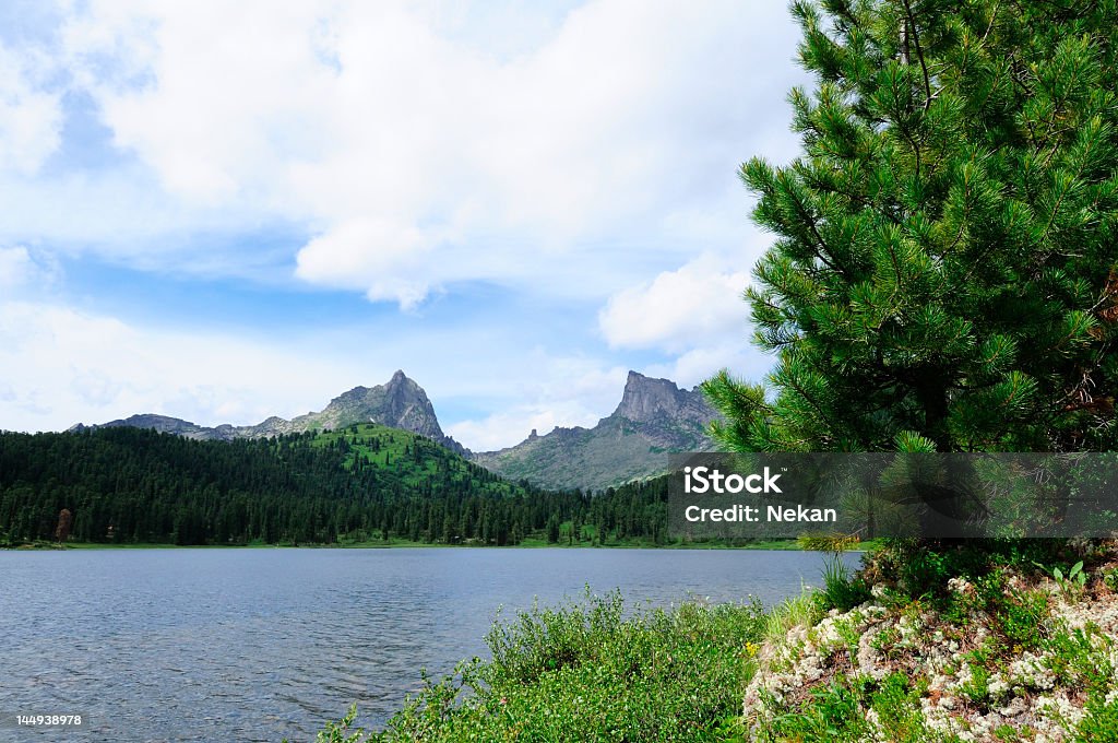 Mountain lake (Sibirien, Ergaki). - Lizenzfrei Baum Stock-Foto