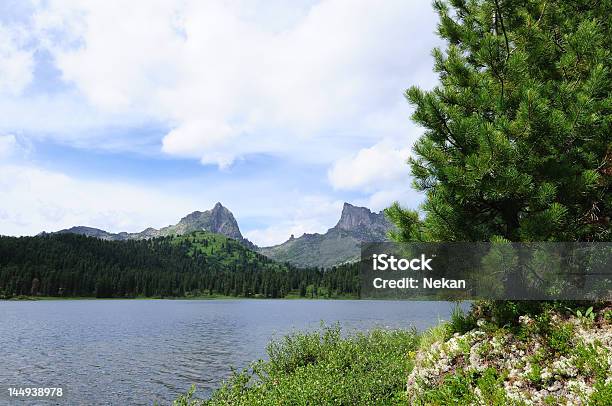 Mountain Lake Stockfoto und mehr Bilder von Baum - Baum, Berg, Blau