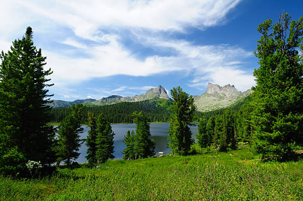 mountain lake in national park ergaki, russland - schreckhorn uncultivated tree summer stock-fotos und bilder