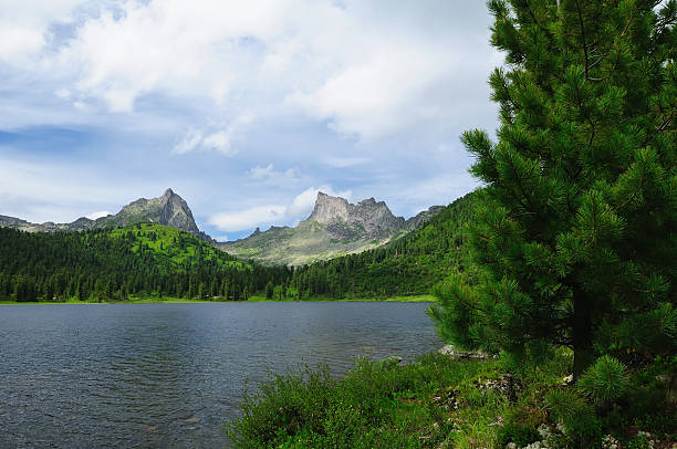 lago di montagna nel parco nazionale ergaki, russia - schreckhorn uncultivated tree summer foto e immagini stock