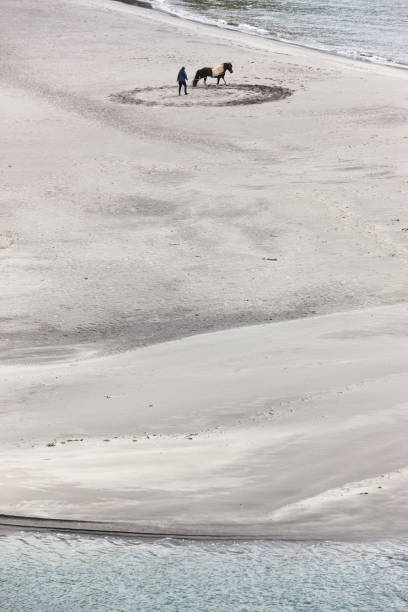 istock Training a horse on a sand beach. Equestrian sport. Faroe 1449392103