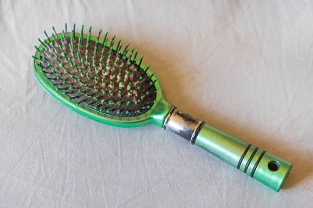 Old Green Plastic Brush With Hairs and Dirt