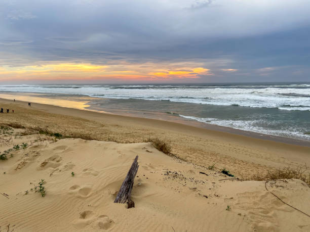 istock Beach sunset in Les Landes, Aquitaine 1449395068