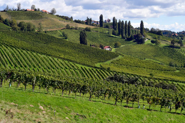 istock Austria, Southern Styria, Sulztal, 1449395188