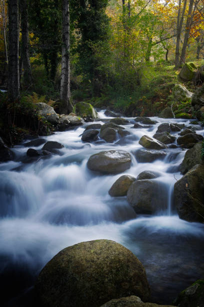 istock Between the boulders and the trees 1449395410