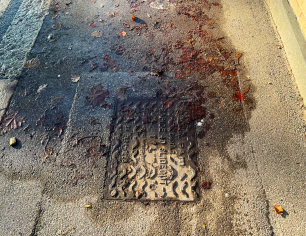 istock Leaking pipes on a London street 1449397748