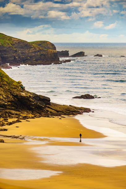 istock Asturias coast with Carniciega beach in Spain. 1449397930
