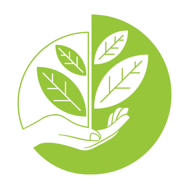 illustrazioni stock, clip art, cartoni animati e icone di tendenza di plant in hand - logo per il programma di riciclaggio - ecological reserve
