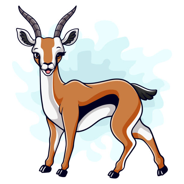 illustrazioni stock, clip art, cartoni animati e icone di tendenza di gazzella divertente del fumetto isolata su priorità bassa bianca - impala
