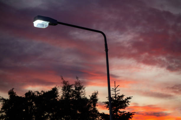 istock Stormy sky at sunset. Tree, illuminated streetlamp silhouette violet orange cloudy sky background. 1449406861
