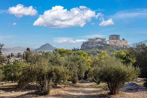 Parthenon Temple on the Acropolis Holy Rock Athens, Greece. Greek ancient civilization monument. Olive tree, lush nature, blue sky background.