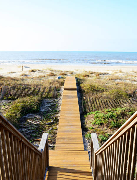 istock Wooden pier to the beach. 1449406973