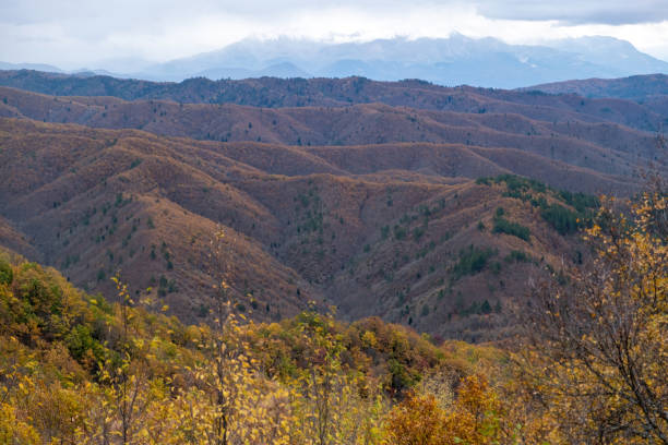 istock Greece wild mountain range in row. Panoramic view of bare rocky formation, snowy peak background. 1449407044