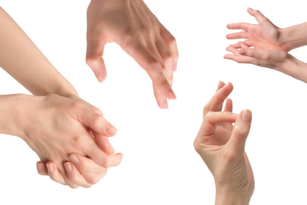 istock Woman hand isolated on a white background. 1449408243