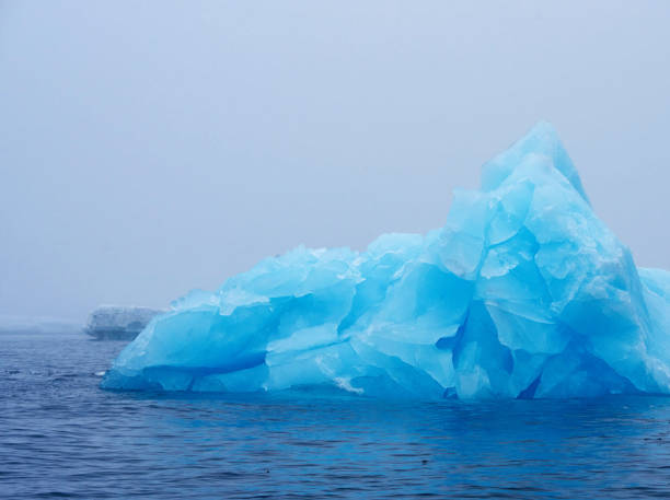 istock Beautiful Brown Bluff ,Antarctica pictures 1449412067