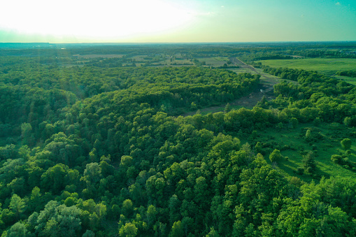 A bird's-eye view taken from a drone shot of a lush green forest and river running through