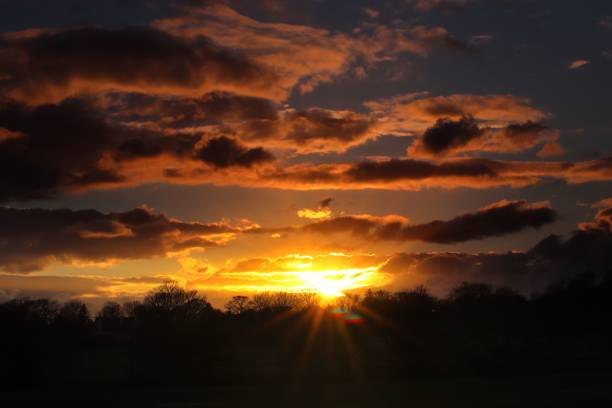 istock Silhouette of trees at a bright sunrise 1449414814