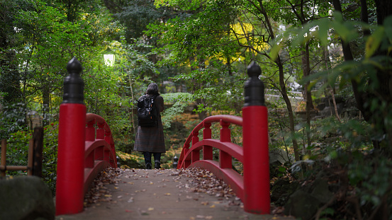 A female tourist is visiting a shrine and a Japanese garden and enjoying taking photos.