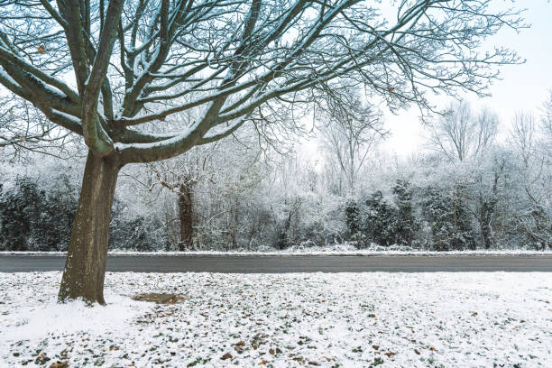 눈 덮인 도로 영국 - drivers point of view country road snowing blizzard 뉴스 사진 이미지