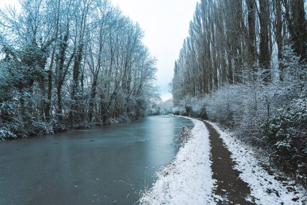 Winter landscape: snow-covered trees. A fence and a frozen ditch in the foreground. Photo was made in the Ooypolder, Nijmegen, The Netherlands