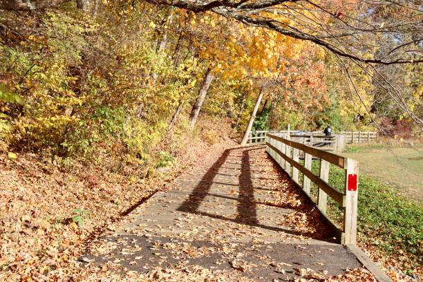 istock Path in the Autumn Park 1449421816
