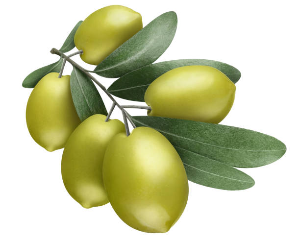 istock Olive branch with green olives on white 1449424687