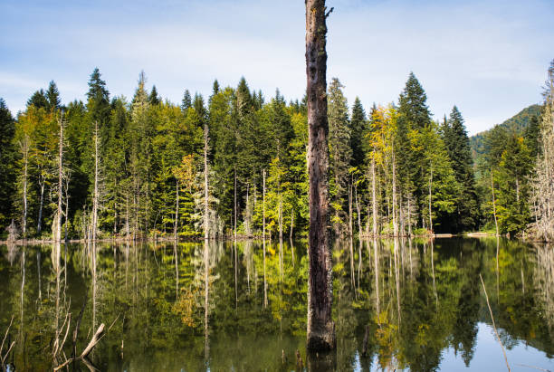 Lake view at Karagol,Artvin,Turkey