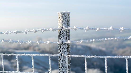 Cold steel chain-link fence with vivid blue sky behind.